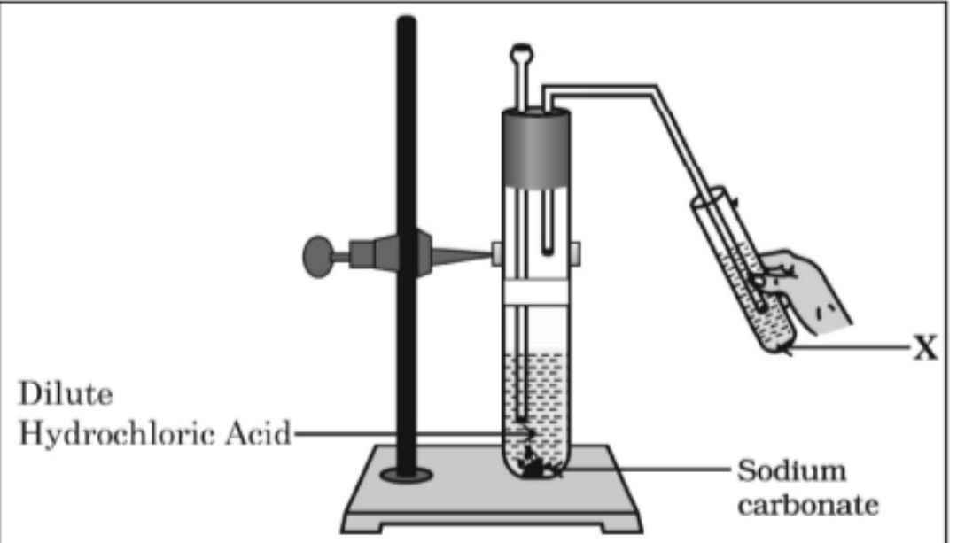 CO2 lime water experiment
