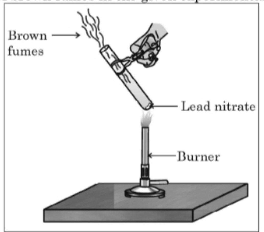 lead nitrate experiment